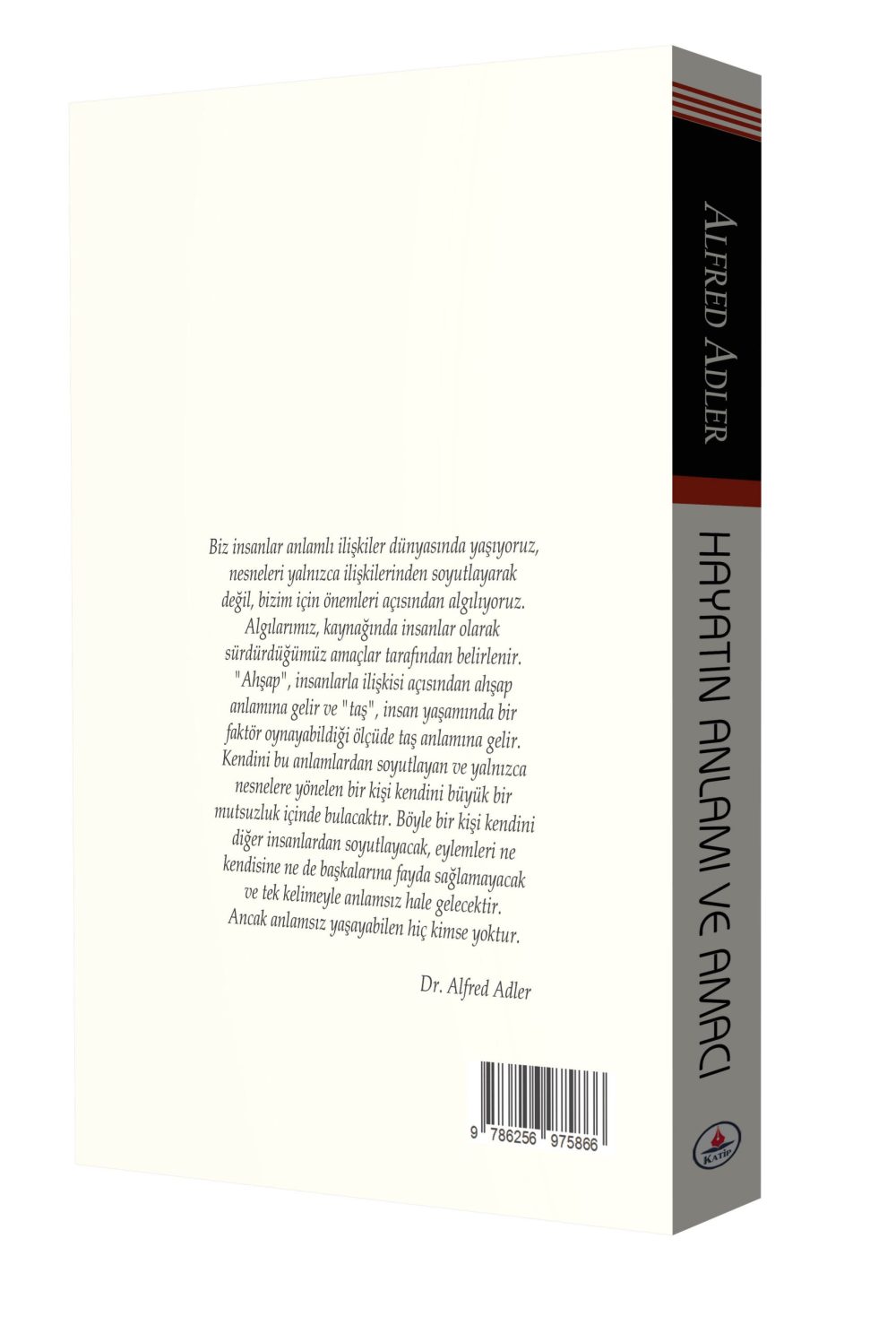 Hayatın Anlamı ve Amacı / Alfred Adler - Görsel 2
