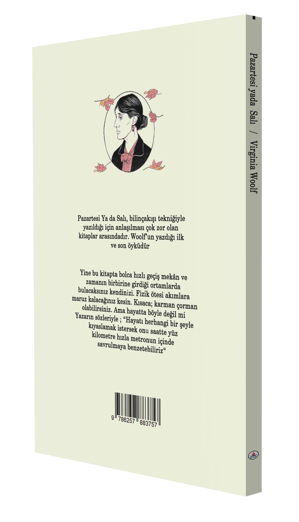 Pazartesi Yada Salı / Virginia Woolf - Görsel 2