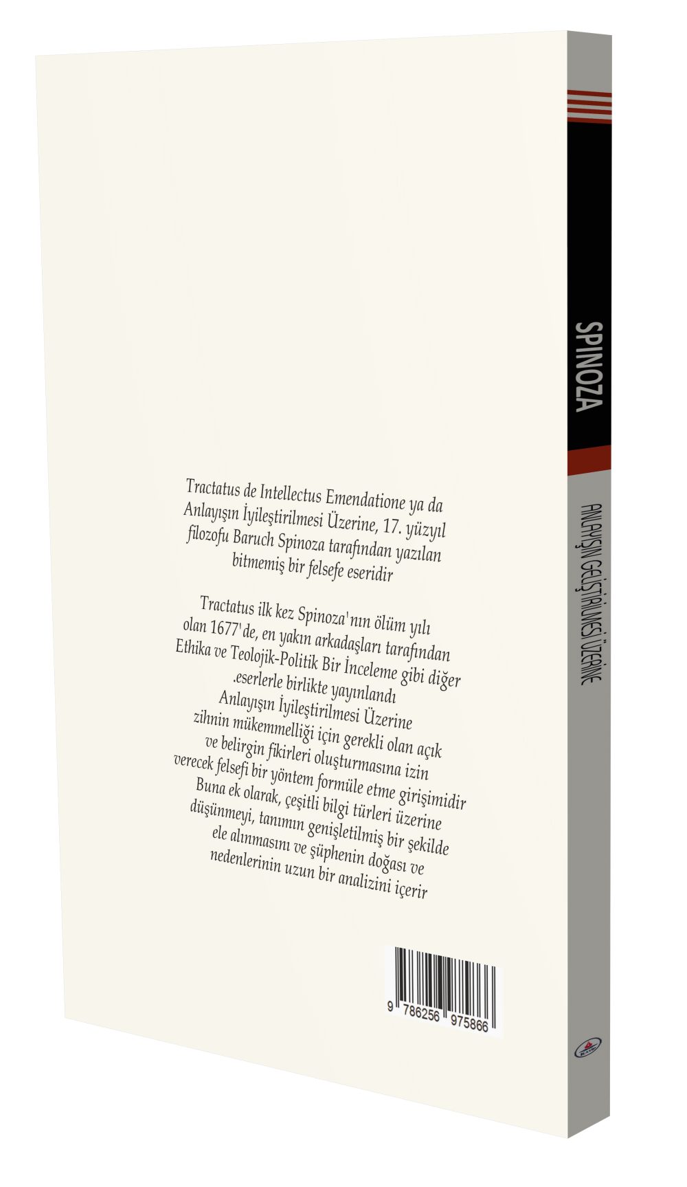 Anlayışın Geliştirilmesi Üzerine / Spinoza - Görsel 3
