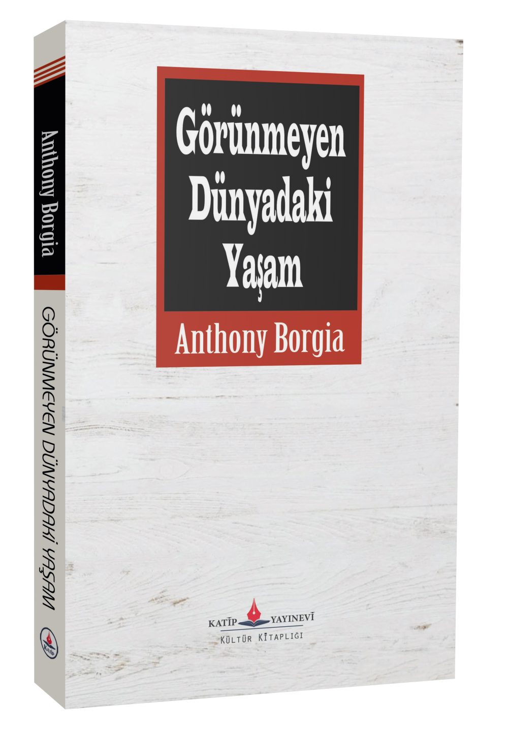 Görünmeyen Dünyadaki Yaşamı / Anthony Borgia - Görsel 2