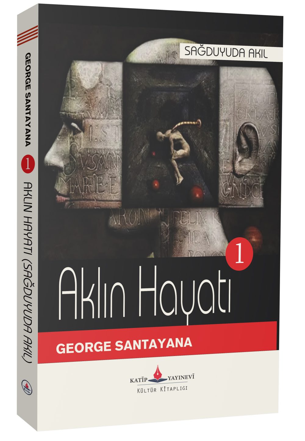 Sağduyuda Akıl - (Aklın Hayatı Cilt 1) / George Santayana - Görsel 2